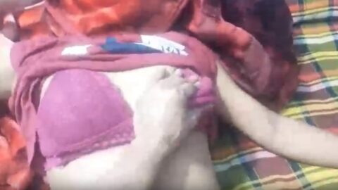 New sex video Bengali